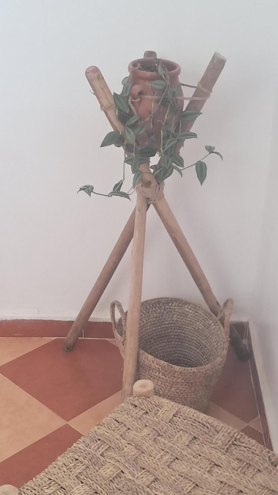Buena Vista Morroco Guest House Tamraght Екстериор снимка