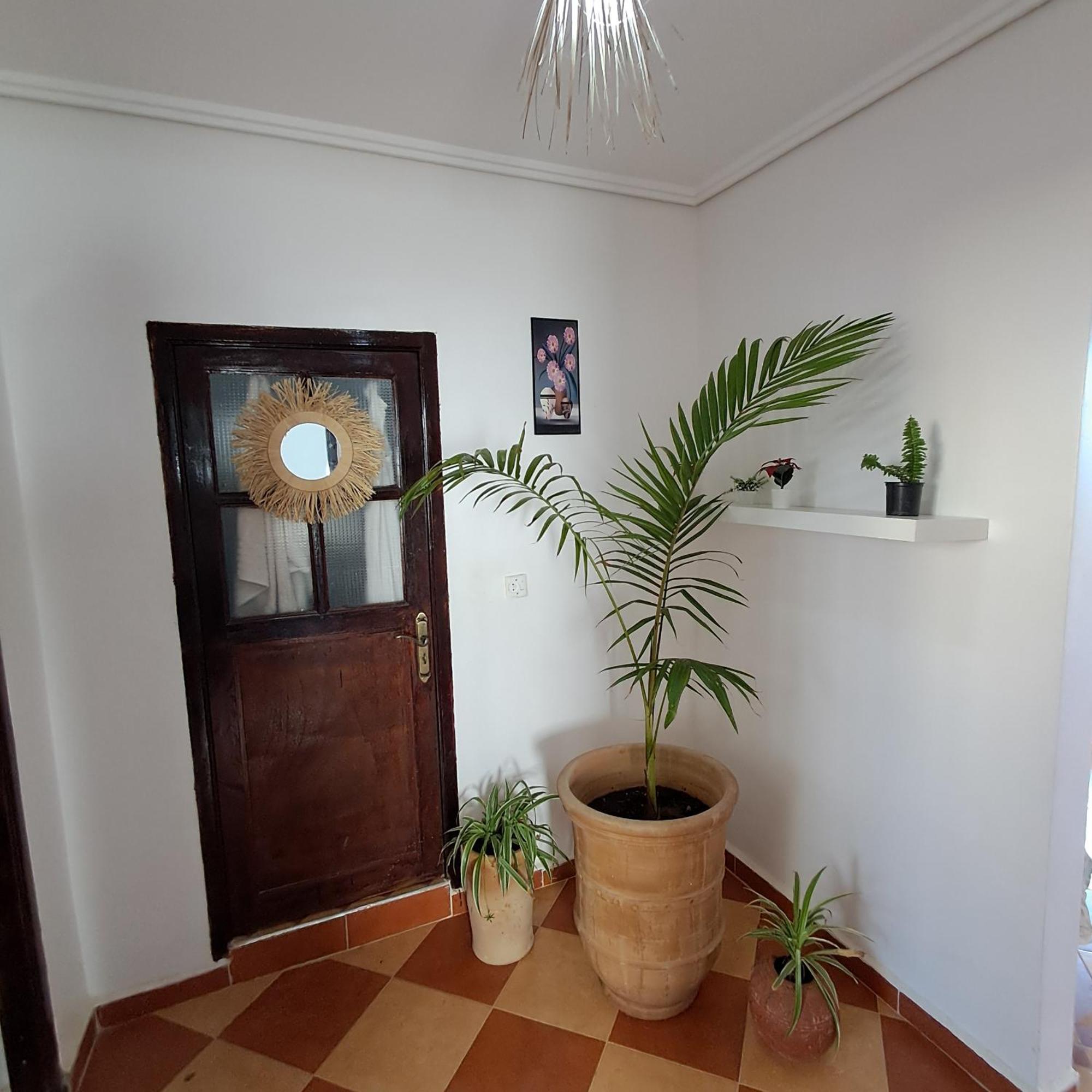 Buena Vista Morroco Guest House Tamraght Стая снимка